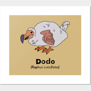 Dodo Posters and Art